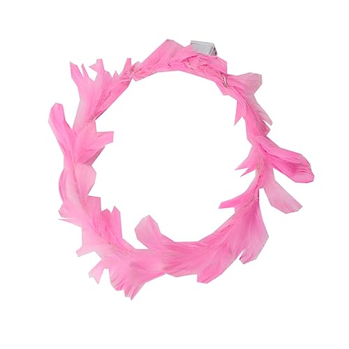 Healvian LedwAANZT[ Hт̃J`[V uC_J`[V tFXeBoJ[jo fB[Xpwbhs[X 4Zbg