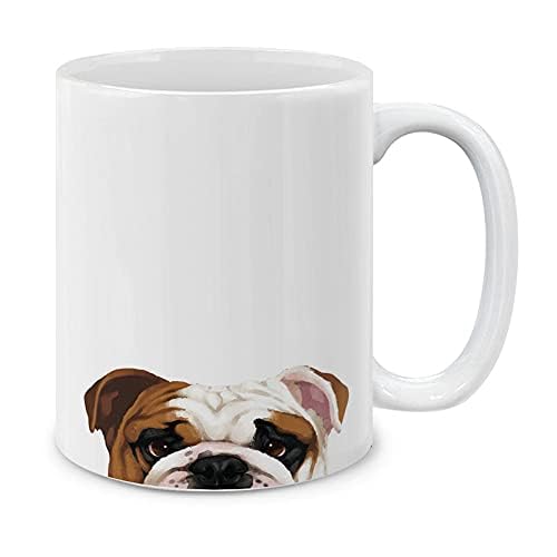 https://m.media-amazon.com/images/I/31IOtGzju9L.jpg