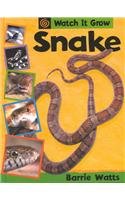 Hardcover Snake Book
