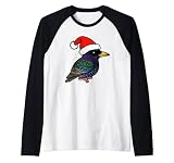 Linda historieta europea Starling Songbird como regalo de Santa Claus Camiseta Manga Raglan
