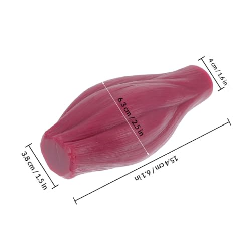 Modèle musculaire en silicone pour expliquer la composition corporelle facilement