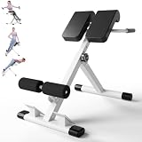 sirhome Adjustable Hyperextension Bench