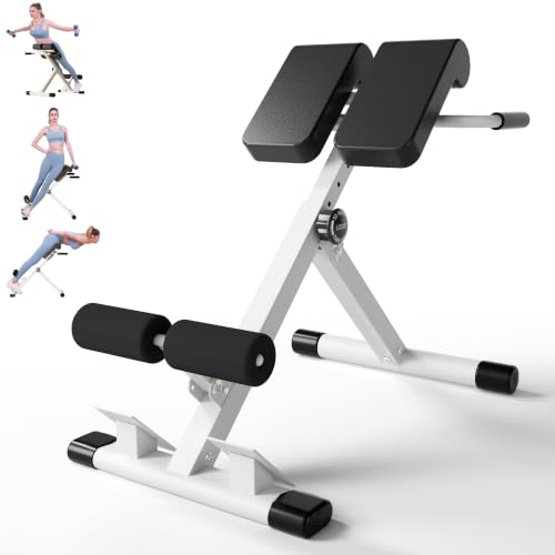 Multi-Function Roman Chair Back Extension Bench