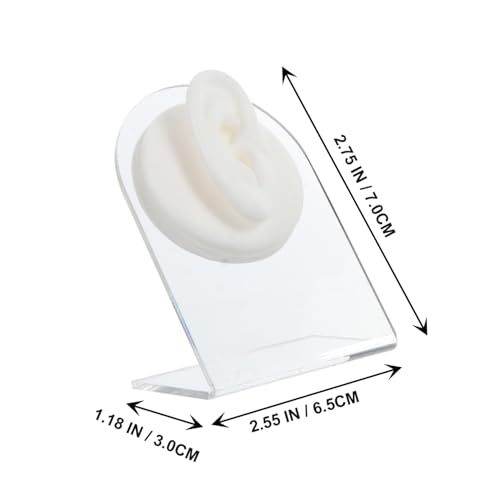 Modèle d'oreille Baluue en silicone pour simulation médicale - 2