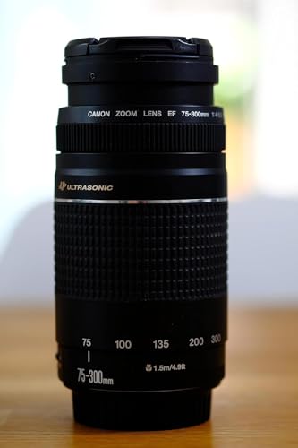 Canon EF 75-300 mm f/4-5.6 III Telephoto Zoom Lens for Canon SLR Cameras (Black) view 2
