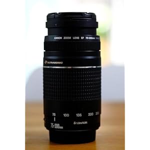 Alternative view of Canon EF 75-300mm f/4-5.6 III Telephoto Zoom Lens for Canon SLR Cameras