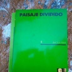 Paisaje dividido 4 (Poesía)