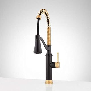 Signature Hardware 457068 Caribana 1.75 GPM Single Handle Kitchen Faucet