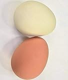 Größe: 5,5 cm Flummi-Ei 2 Stück (weiß und braun ) -Gummi-Ei zum Eierlaufen, Flummi Ei , Hüpfei-Gummiei, Kinder Mitgebsel Scherzartikel , Originalgröße als Ei, Dekoeier