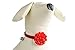 KOOLTAIL AWAMI Designer Breakaway Cat Collar with Bell Soft Cloth Flower Ball Adjustable Velvet Kitty Puppy Dog Necklace Red