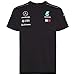 Price comparison product image Mercedes AMG Petronas F1 Mens Driver T-Shirt 2018 S