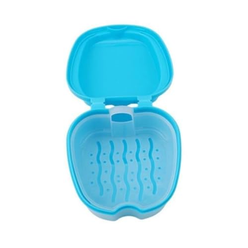 Boîte de stockage pour dents artificielles avec support de filet