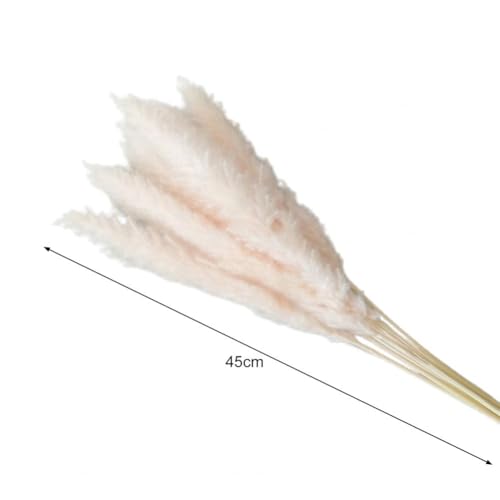 Pampas Grass Large Home Decor Elegant Artificial Pampas Grass miniatura 3