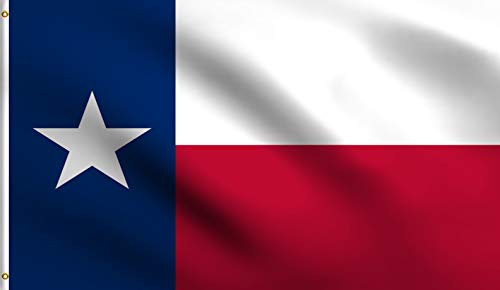 DMSE Wholesale Texas Lone Star State Flag 2X3 Ft Foot 100% Polyester 100D Flag UV Resistant (2' X 3' Ft Foot)