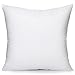 Acanva Hypo-Allergenic Pillow Insert Form Cushion Sham Stuffer, Square, 24" L x 24" W