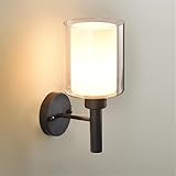 Scène applicable : l'aspect attrayant de l'applique murale décorative d'intérieur montre la beauté exquise, idéale for l'intérieur, comme un bar, un restaurant, une chambre, une décoration murale de magasin.