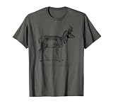 American Antelope Looks Like Art Drawing Pronghorn T-Shirt, Boys, Unisex-Adults, Short Sleeve, Grey, S, Classic Fit, Cotton 90% Polyester 10%