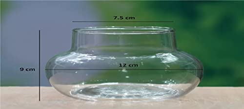Image of Lucky Modern Bamboo Glass Pot (Glass Pot) With Multi Color Jelly 5 Inch