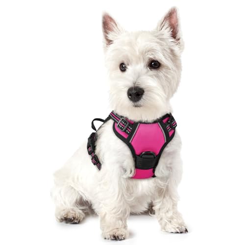 Image of rabbitgoo Dog Harness No Pull with 2 Leash Clips, Adjustable Soft Padded, Reflective Oxford No Choke Pet Vest with Easy Control Handle for Puppy, Hot Pink, XS