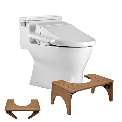 Find The Best Toilet For Big Stools Reviews & Comparison Katynel