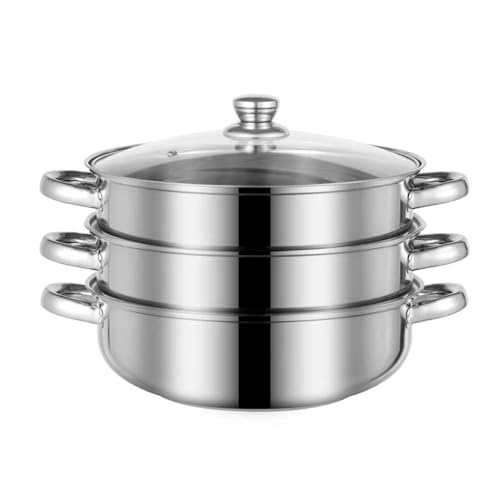 Steamer for Cooking, 18/8 Stainless Steel Steamer Pot, Food Steamer 11 inch Steam Pots with Lid 3-tier for Cooking Vegetables, Seafood, Soups, Stews and Pasta