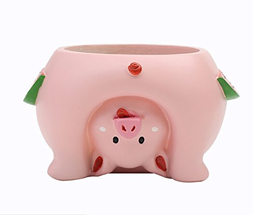 Youfui Cute Animal Flowerpot Animal Resin Succulent Planter Desk Mini Ornament (Pig) #TOP1