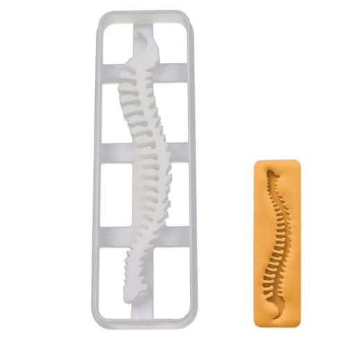 Bakerlogy - BAKERLOGY Human Spine Cookie Cutter - Detailed Biscuit Cutter Design for Baking and Crafts, Ideal on Fondant, Dough, Clay