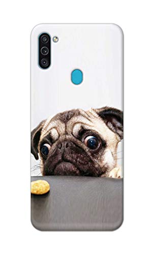 Image of PRINTFIDAA� Printed Hard Back Cover Case for Samsung Galaxy M11 | Samsung Galaxy A11 Back Cover (Pug Dog) -2808