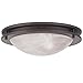 Livex Lighting 7058-07 Ariel 2 Light Ceiling Mount, Bronze