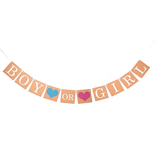 Parieo Boy or Girl Banner Baby Gender Reveal Party Decorations for Baby Shower Photo Booth Props Pregnancy Announcement