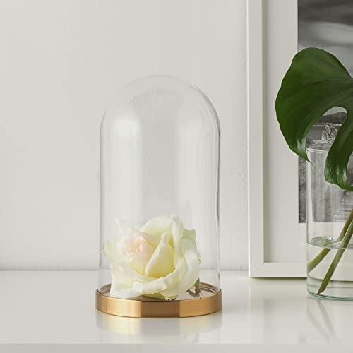 Ikea BEGÅVNING glass dome with base, 26 cm