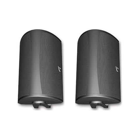 Definitive Technology AW6500 Outdoor Speaker Bundle - (2) 6.5-inch Woofer, 200 Watts, Built for Extreme Weather, Pair, Black Cover