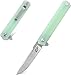 Eafengrow EF64 Cleaver EDC Flipper Knife Point D2 Blade and G10 Steel Handle Assisted Folding Multitool Left or Right Hand Pocket Carry (EF64-J-jade)