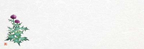 򎽊 u_a~}bg Ԗ؃V[Y  100 B-27-76