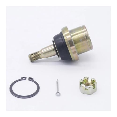 Rotule M10 29 x 14 mm pour quad et buggy de 350 cm3 - 8