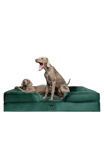 NOAH & PAW Giant Dog Bed XXL, 55x45x11 Inch, Orthopedic Dog Beds, Eggshell Memory Foam Infused with...