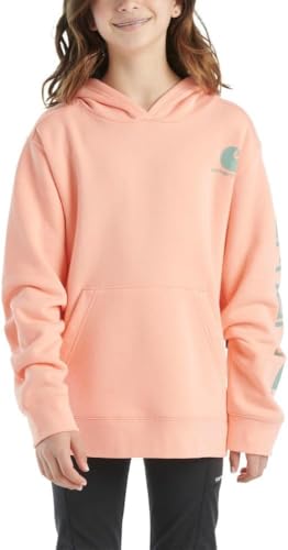 Carhartt Kid's Unisex Long-Sleeve Graphic Hoodie Large