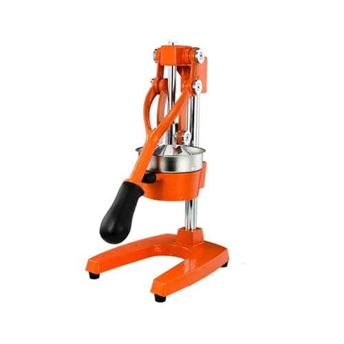 Shiying nh W[T[ ʏ`i 蓮 XeX nhu_[ ʏ`  W[Xi ʏ`ڂ X[ XeX ʏ` CW[X ~LT[ tbVW[T[ t[cڂ ƒp Ɩp (IW)