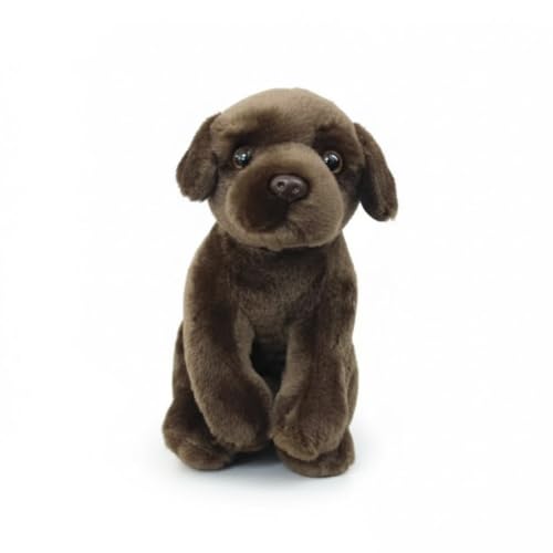Regalo ideale for gli amanti dei cani: un regalo delizioso e premuroso for ragazze e amanti dei cani di tutte le età, perfetto for compleanni, Natale o come amico tascabile.