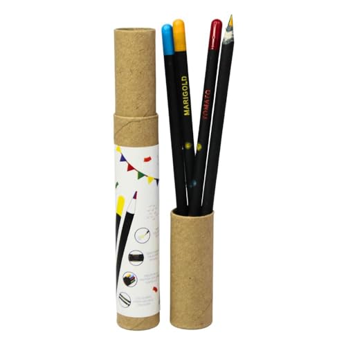 10 Best Plantable Pencils That Make Going Green Fun and Easy 2 Carnival Eco-Friendly Recycled Paper Pencils Set of 10