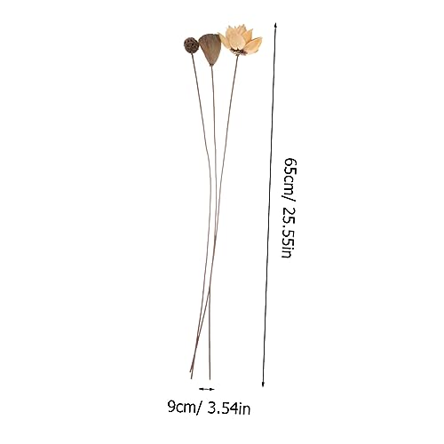 Arreglo de flor de loto seca para decoración zen miniatura 2