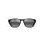 Matte Black/Neutral Grey Polarized