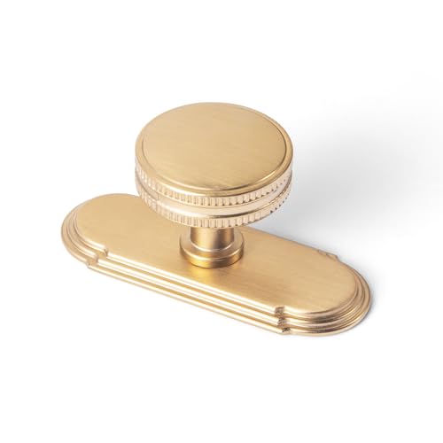 Goo-Ki VpuYLrlbgmu obN/x[Xv[gt o[n[hEFA - 6pbN VOz[/XN[ovLb`nh Xy[T[t