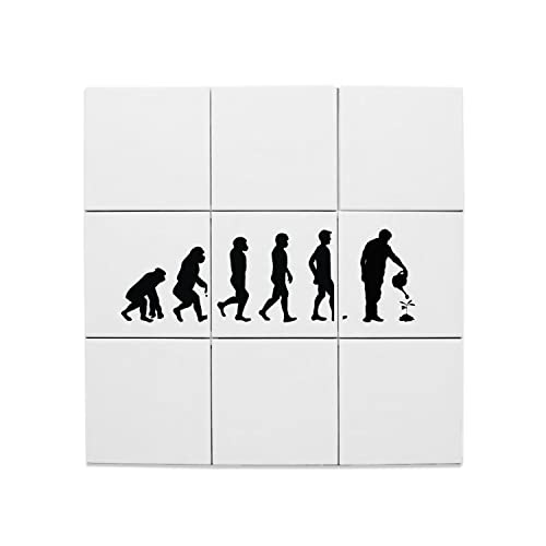 Carreaux Céramique Décoratif 20x20 cm Lot de 9 Evolution Jardinage Nature pour Fresque Murale 60x60