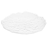 OSALADI Plato de Vidrio para Bistec y Pasta, Bandeja Grande Creativa para Servir Alimentos, Plato Elegante y Multiusos para Restaurante y Hogar, Contenedor de Comida Resistente