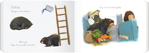 Tagebuch eines Wombat: Pappbilderbuch