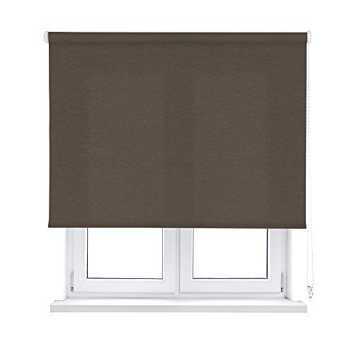 KAATEN - Estor Enrollable Shadow - TRASLÚCIDO - Disponible EN Varias Medidas Y Colores