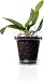 Kalapanta Vaso per Orchidee trasparente in plastica con Fori Drenaggio e Sottovaso...