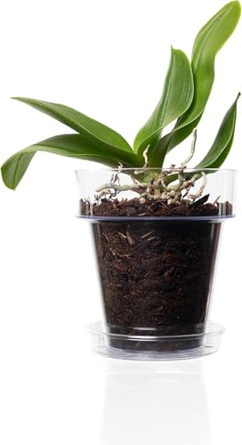 Pot pour orchidée transparent contre l'excès d'eau et racines pourries - 4