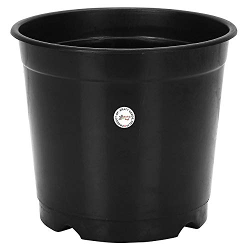 Kraft Seeds by Plastic Nursery Seedlings Pots 20 Pcs (6 Inch, Black) Plant Seed